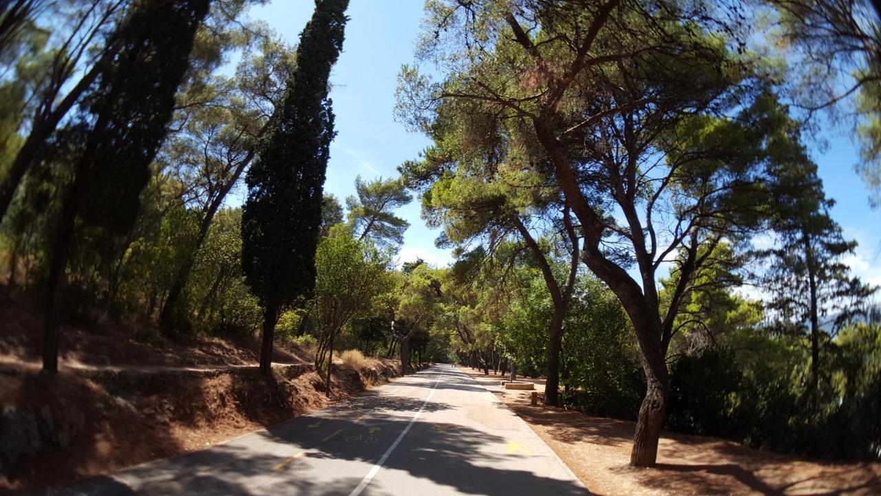 Villa Branko Split Dış mekan fotoğraf